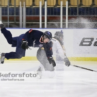 2013-01-12, Ishockey,  Halmstad Hammers - Pantern Hockey: 8 - 5