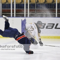 2013-01-12, Ishockey,  Halmstad Hammers - Pantern Hockey: 8 - 5