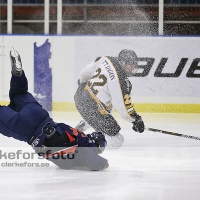 2013-01-12, Ishockey,  Halmstad Hammers - Pantern Hockey: 8 - 5