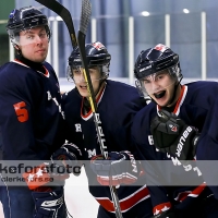 2013-01-12, Ishockey,  Halmstad Hammers - Pantern Hockey: 8 - 5