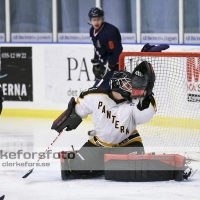 2013-01-12, Ishockey,  Halmstad Hammers - Pantern Hockey: 8 - 5