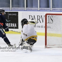 2013-01-12, Ishockey,  Halmstad Hammers - Pantern Hockey: 8 - 5