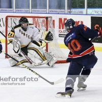 2013-01-12, Ishockey,  Halmstad Hammers - Pantern Hockey: 8 - 5