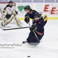 2013-01-12, Ishockey,  Halmstad Hammers - Pantern Hockey: 8 - 5