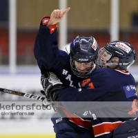 2013-01-13, Ishockey,  Halmstad Hammers - Bäcken HC: