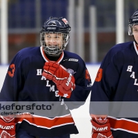 2013-01-13, Ishockey,  Halmstad Hammers - Bäcken HC: