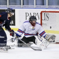 2013-01-13, Ishockey,  Halmstad Hammers - Bäcken HC: