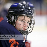 2013-01-13, Ishockey,  Halmstad Hammers - Bäcken HC: