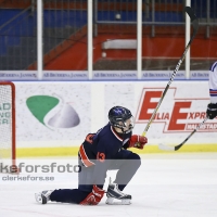 2013-01-13, Ishockey,  Halmstad Hammers - Bäcken HC: