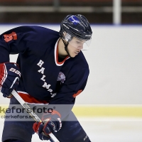 2013-01-19, Ishockey,  Halmstad Hammers - Hovås HC: 8 - 0