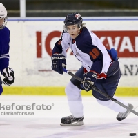 2013-01-20, Ishockey,  Jonstorp IF - Halmstad Hammers: 4 - 1