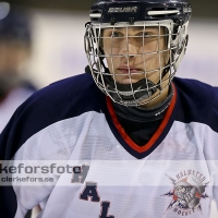 2013-01-20, Ishockey,  Jonstorp IF - Halmstad Hammers: 4 - 1