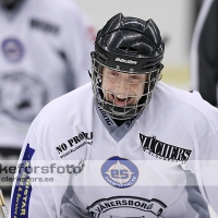 2013-01-27, Ishockey,  Halmstad Hammers - Vänersborgs HC: 8 - 4