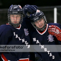 2013-01-27, Ishockey,  Halmstad Hammers - Vänersborgs HC: 8 - 4