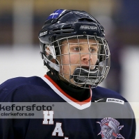 2013-01-27, Ishockey,  Halmstad Hammers - Vänersborgs HC: 8 - 4