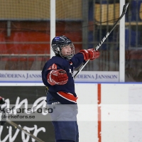 2013-01-27, Ishockey,  Halmstad Hammers - Vänersborgs HC: 8 - 4