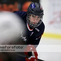 2013-02-10, Ishockey,  Halmstad Hammers - Hovås HC:2 - 3