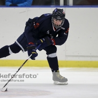 2013-02-10, Ishockey,  Halmstad Hammers - Hovås HC:2 - 3