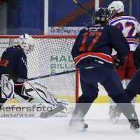 2013-02-10, Ishockey,  Halmstad Hammers - Hovås HC:2 - 3