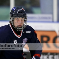 2013-02-10, Ishockey,  Halmstad Hammers - Hovås HC:2 - 3