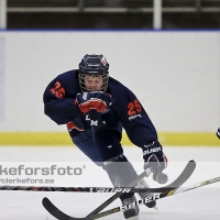 2013-02-10, Ishockey,  Halmstad Hammers - Hovås HC:2 - 3