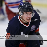 2013-02-10, Ishockey,  Halmstad Hammers - Hovås HC:2 - 3