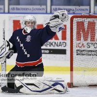 2013-02-10, Ishockey,  Halmstad Hammers - Hovås HC:2 - 3