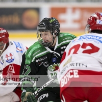 Ishockey Elitserien, Rögle BK - Timrå IK: 0 - 4