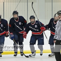 2013-02-17, Ishockey,  Halmstad Hammers - Grästorps IK: 6 - 5