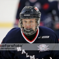 2013-02-17, Ishockey,  Halmstad Hammers - Grästorps IK: 6 - 5