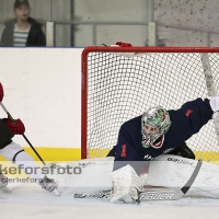 2013-02-17, Ishockey,  Halmstad Hammers - Grästorps IK: 6 - 5