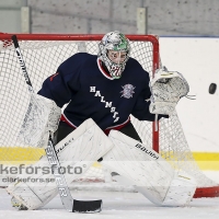 2013-02-17, Ishockey,  Halmstad Hammers - Grästorps IK: 6 - 5