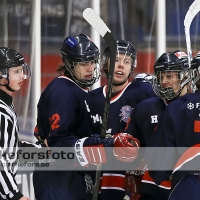 2013-03-03, Ishockey,  Halmstad Hammers - Hisingens IK: 8 - 2