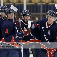 2013-03-03, Ishockey,  Halmstad Hammers - Hisingens IK: 8 - 2