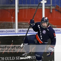 2013-03-03, Ishockey,  Halmstad Hammers - Hisingens IK: 8 - 2