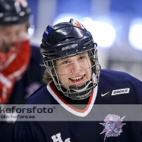 2013-03-03, Ishockey,  Halmstad Hammers - Hisingens IK: 8 - 2