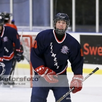 2013-03-03, Ishockey,  Halmstad Hammers - Hisingens IK: 8 - 2