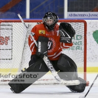 2013-03-03, Ishockey,  Halmstad Hammers - Hisingens IK: 8 - 2