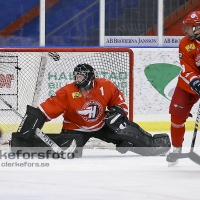 2013-03-03, Ishockey,  Halmstad Hammers - Hisingens IK: 8 - 2