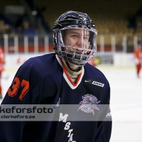 2013-03-03, Ishockey,  Halmstad Hammers - Hisingens IK: 8 - 2