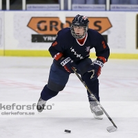 2013-03-03, Ishockey,  Halmstad Hammers - Hisingens IK: 8 - 2